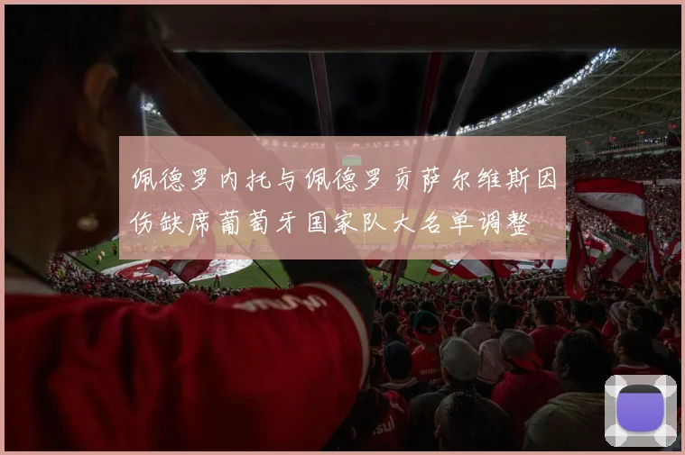 佩德罗内托与佩德罗贡萨尔维斯因伤缺席葡萄牙国家队大名单调整
