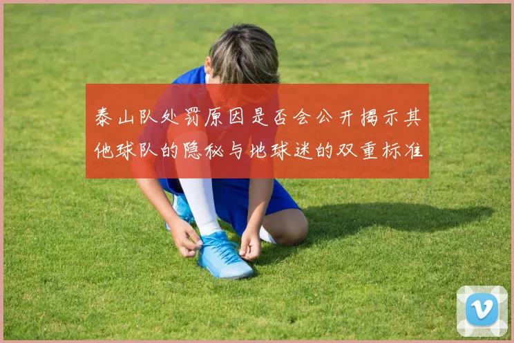 泰山队处罚原因是否会公开揭示其他球队的隐秘与地球迷的双重标准