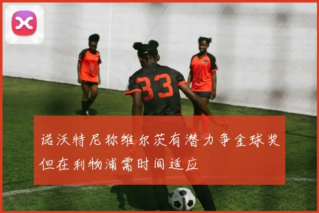 诺沃特尼称维尔茨有潜力争金球奖但在利物浦需时间适应