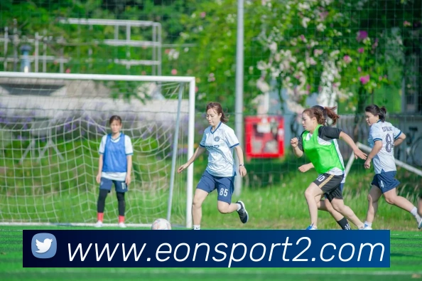 意昂足球发展历程