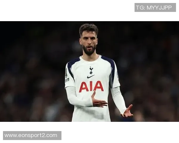 英媒透露本坦库尔将续约热刺同时球队有意买断帕利尼亚